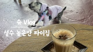 Vlogㅣ슈의 단골가게 리뷰ㅣ성수 높은산ㅣ반려동물 동반 Pet Friendly Store in Koreaㅣnoppensan