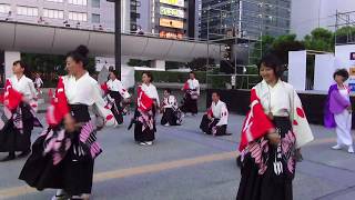 さいキョーよさこい'17 大宮同心桜連 - 夢花火