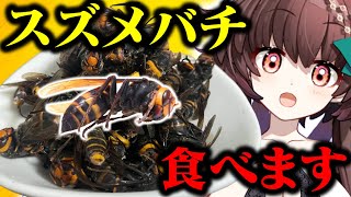 【閲覧注意】オオスズメバチ食べてみた！【天藤あかね/新人Vtuber】