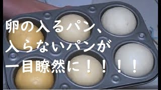 【パン基礎講座】卵の入る生地と入らない生地を焼き比べて分かったこと