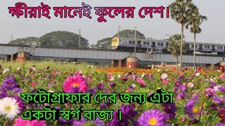 Khirai,Valley of flowers at Khirai... ক্ষীরাই মানেই ফুলের দেশ।