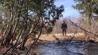 Exploring Walker Brook in Campbellton, NB