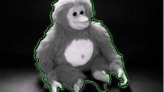 Segment the Monkey