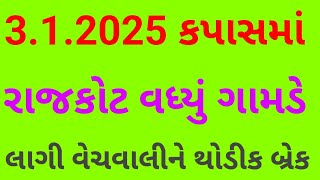 રાજકોટ કપાસના ભાવમાં વધારો ગામડે બેઠા કપાસની વેચવાલી ઘટી ? Kapas na bhav. KAPAS. Cotton.kapas bajar