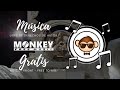 🔴 Progressive Records - Andrew Graaf - Paradox [Monkey - Free Music]🎵