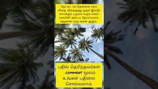 தென்னை மரங்கள் பற்றிய தகவல்கள். coconut tree information.