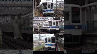 野田線の各車両に対する反応 #shorts  #猫ミーム # 東武#東武野田線 #鉄道