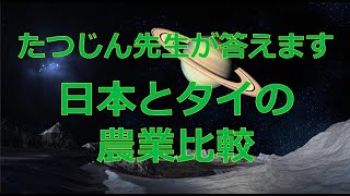 #24027　質問；日本とタイの農業比較＃たつじん地理＃授業動画＃大学受験＃共通テスト＠たつじん地理