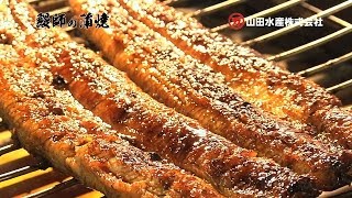 土用丑の日は【鰻師の蒲焼 】 山田水産株式会社