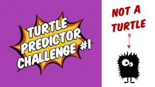 Manny's Python Turtle Predictor Challenge #1