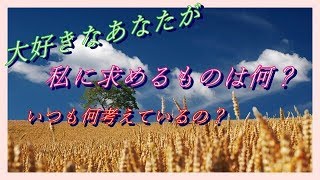 【タロット占い】大好きなお相手さんが🌸🐧　私に求める事って何？✨✨　🐿いつも何考えているの？