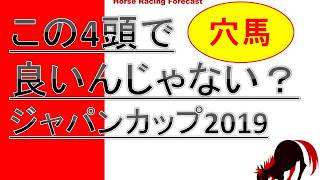 【競馬予想】ジャパンカップ　2019　穴馬この4頭で良いんじゃない？