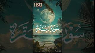 Surah Al Baqara 2.203.#quran.#surahalbaqarah.#shortquran.#aayath.#trendingshorts.