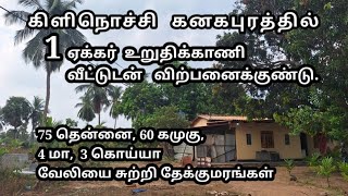 கிளிநொச்சி கனகபுரத்தில் 1 ஏக்கர் காணி வீட்டுடன் விற்பனைக்குண்டு | வாடகைக்கும் கொடுக்கப்படும் |