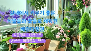 집에서 키우기 쉬운 식물들과 꽃으로 채워진 베란다 정원/식물 정리 선반으로 변신한 테이블 리폼