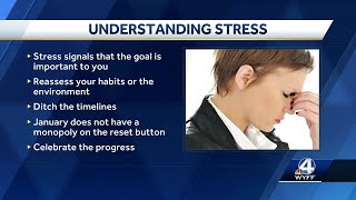 Embrace stress for success: Expert's advice on New Year's resolutions