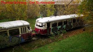 Die verlassenen MAN-Schienenbusse im Wald