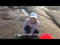 小长沟赶海一脚踩中极品大货，小靖说是海洋第一毒，真是运气爆棚