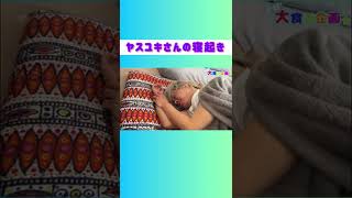 【癒】寝姿赤ちゃんなヤスユキ #しゅくろーから夜ふかし #しゅくかし #shorts