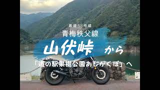 県道53号線　青梅秩父線　山伏峠から「道の駅果樹公園あしがくぼ」へ