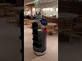 先進科技 ai智能貓咪送餐點機器人 robot