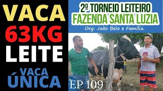 VACA DE 63KG DE LEITE | VACA ÚNICA | UMA FÁBRICA DE LEITE