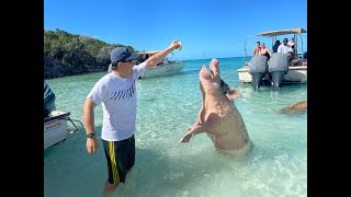 Best Adventures in Exuma Bahamas | Crazy Crystal Blues |4K