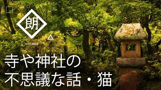 【朗読】寺や神社の不思議な話・猫