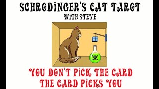 Schrodinger's Cat Reading - Will January's Node Shift be a dead cat or a live cat for you??