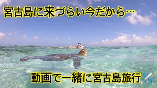 【宮古島】来づらい今、この動画見てあなたも宮古島旅気分！？