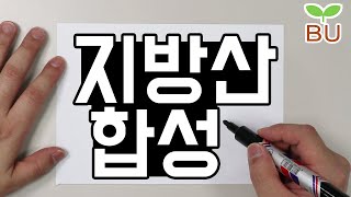 [설명편] 지방산의 합성