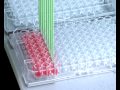 evo pipetting multi fixed2