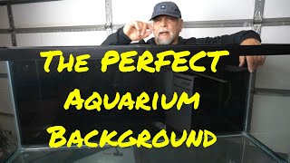 New Fish Room Vlog #10 - How to Add a Black Background to an Aquarium