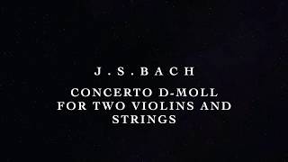 J.S. Bach - сoncerto d moll for two violins and strings