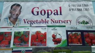 Gopal vegetable nursery s