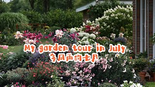 美丽七月/我的园中那些经历七月多风雨的花儿/Schöner Garten im Juli/26.07.2023