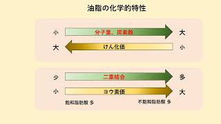 油脂の化学的特性