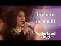 Licht in de nacht - Nederland Zingt