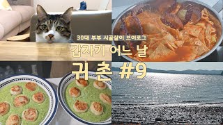 [귀촌일기] 고양이들과 하루하루 맛있는 시골살이 (+간만에한잔) 시금치뇨끼, 해물떡볶이