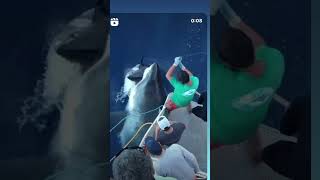 Massive Great White Shark eats fisherman’s Tuna. New undies please. #shorts #greatwhiteshark