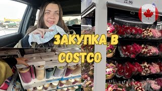 VLOG: МЕГА закупка в COSTCO 🇨🇦 #calgary