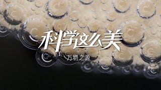 《科学这么美》 S01E06 元素：万物之源