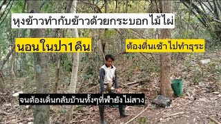 หุงข้าวทำกับข้าวด้วยกระบอกไม้ไผ่ในป่าลึกเดินทางกว่าชั่วโมงครึ่ง ป่าใหญ่มากไม้ไผ่สวยมากยาวเสียดฟ้า