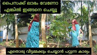 പൈസ ലാഭിക്കാൻ ഒരു വീട്ടമ്മക്ക് ചെയ്യാൻ പറ്റുന്ന കാര്യം/ motivation/🙏❤️/sameera dreamz