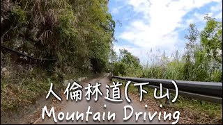 西巒大山 開車 人倫林道 路況 (下山)