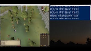 OSRS - Basic Runescape Woodcutting Bot w/ Python