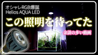 電球型のアクア専用RGBライトを買った【Helios Aqua LED HA20】