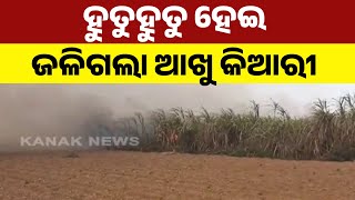 Raging Fire Devours Sugarcane Fields in Balasore, Farmers Demand Compensation