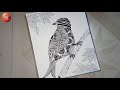 zentangle birds drawing doodle art birds zentangle mandala art mandala drawing