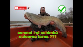 Somnul i-si schimba culoarea iarna ??? Spinning la Somn si Salau pe vreme rece